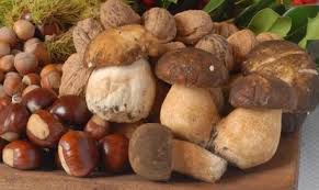 Castagne e Funghi