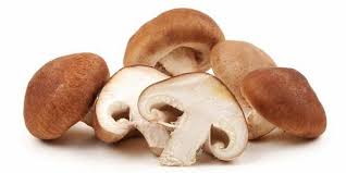 Funghi